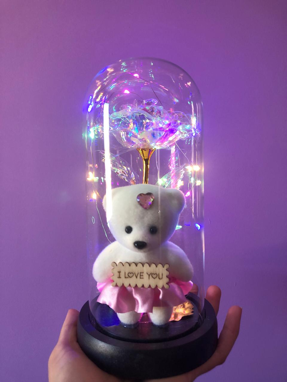 Luminária Ursinho Encapsulada
